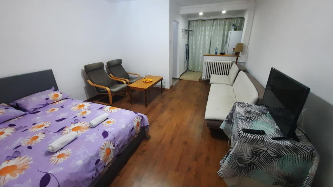 Lovely 1 Bedroom Apartment With Free Street Parking Boekarest Buitenkant foto